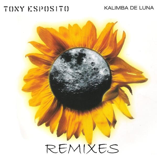 Kalimba De Luna (Kamasutra & Bini Club Vocal)