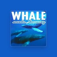 Big Miracle