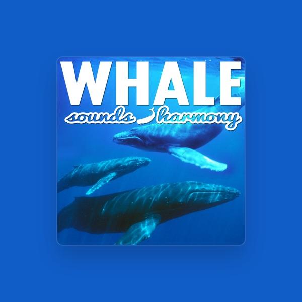 Big Miracle