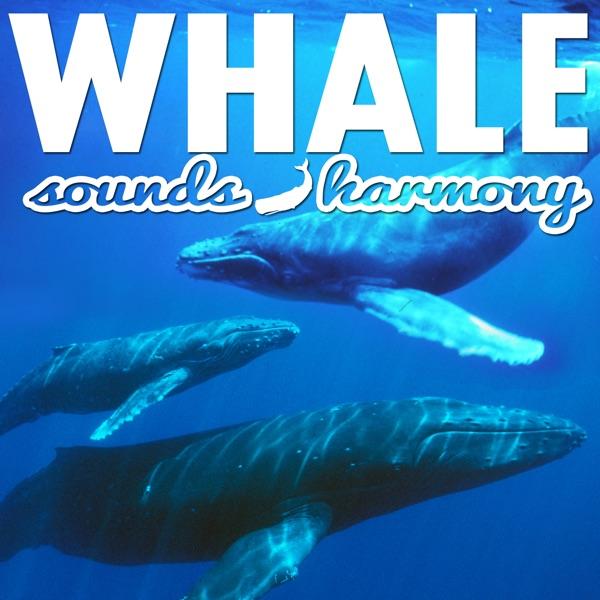 Dolphins and Whales, Pt. 1