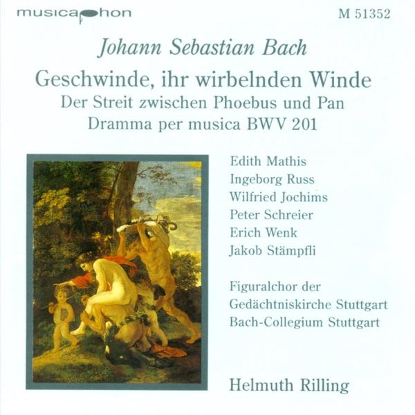 Geschwinde, Ihr Wirbelnden Winde, BWV 201: Labt Das Herz, Ihr Holden Saiten (Chorus)