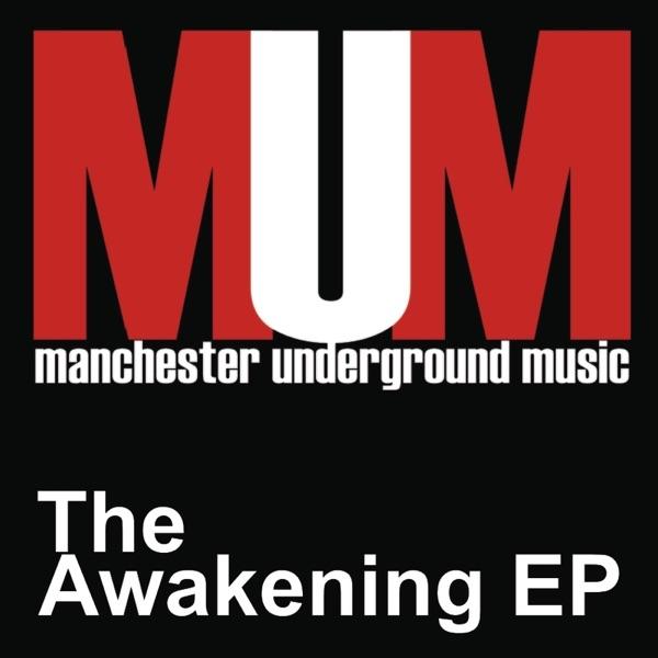 In Pursuit Of Sound (Holmtik Mix)