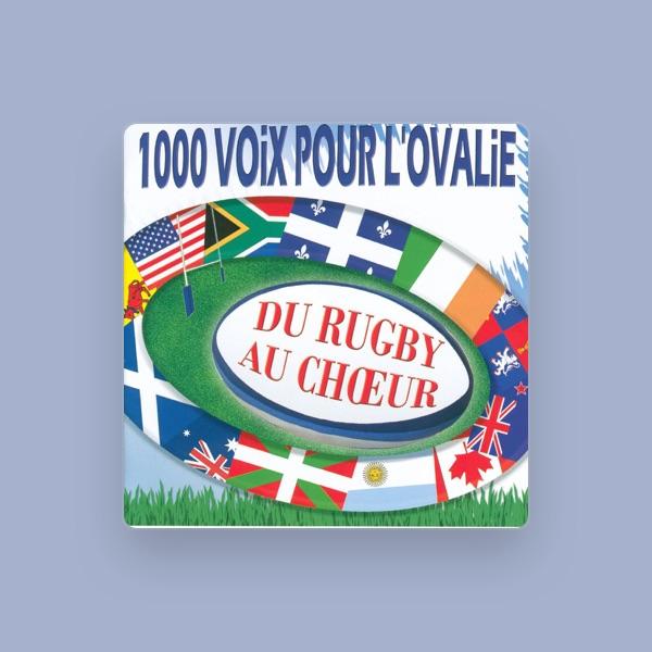 Les minimes et benjamins du comité de rugby Côte Basque - Landes
