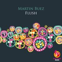 Flush (Selim Gaston Remix)