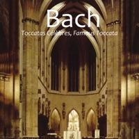 Le Messie, HWV 56: Alleluïa