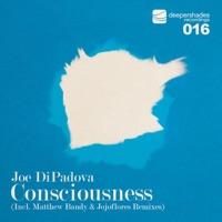 Consciousness (Bandy's Bonus Beats)