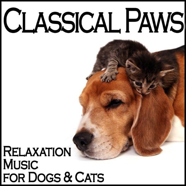 Quartet for Strings In D Major Lark Op. 64/5: Allegro Moderato
