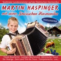 Böhmischer Traum
