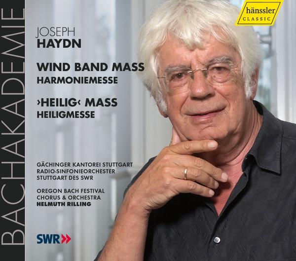 Mass No. 14 In B Flat Major, Hob.XXII:14, "Harmoniemesse": Agnus Dei