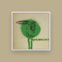 Imaginations Treetrunk