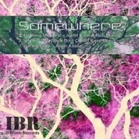 Vibrate (Justin Kase Remix)