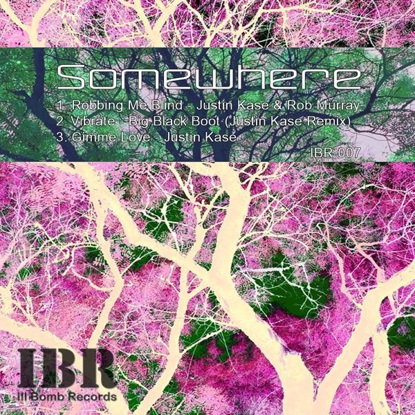 Vibrate (Justin Kase Remix)