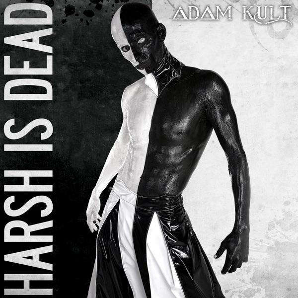 This Is Not America - Skd Rmx