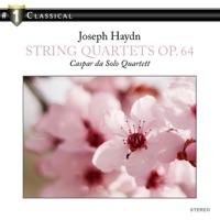 String Quartet No. 50 in B-Flat Major, Op. 64:3: IV. Finale: Allegro con spirito