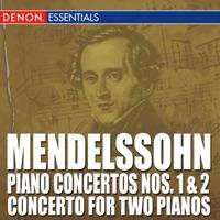 Concerto for Piano and Orchestra No. 2, Op. 40 in D Minor: I. Allegro appassionato