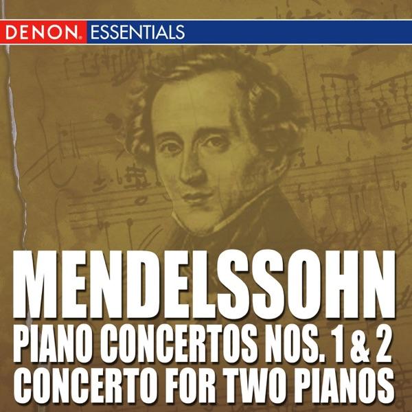 Concerto for Piano and Orchestra No. 2, Op. 40 in D Minor: I. Allegro appassionato