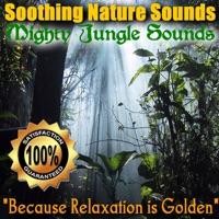 Jungle Sounds