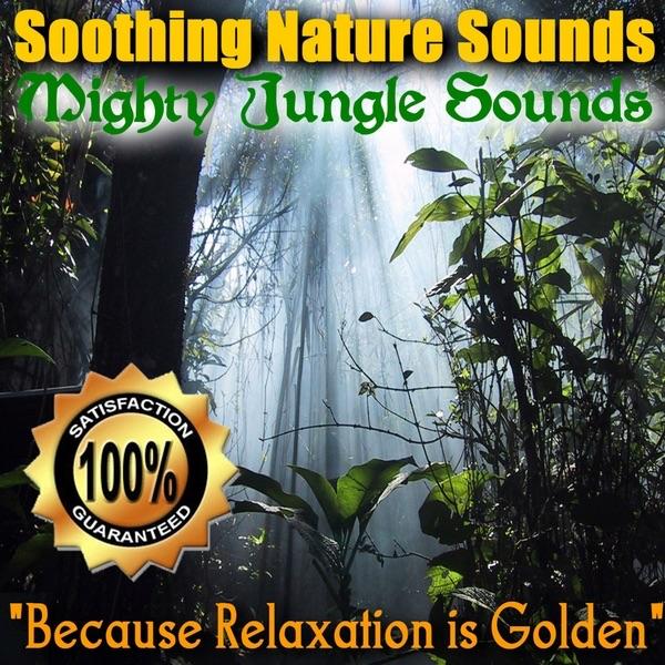 Jungle Sounds