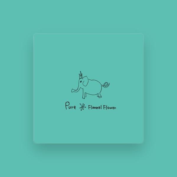 Flannel Flower