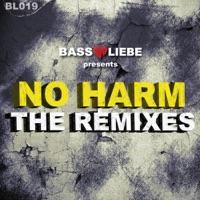 No Harm (Fr33m4n Fidget Remix)