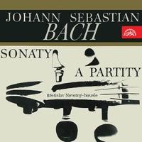 Sonata for Violin No. 1 in G Minor, BWV 1001: III. Siciliana