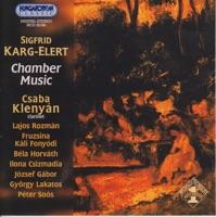 Trio in D minor - for oboe, clarinet and cor anglais Op. 49 No. 1 I. Introductio