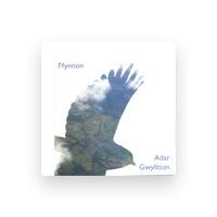Ffynnon
