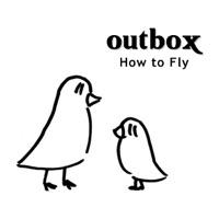How to Fly