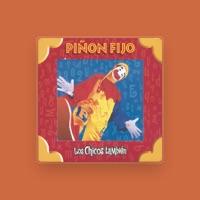 Piñon Fijo
