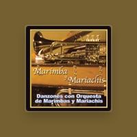 Marimba y Mariachis
