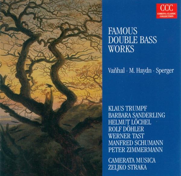 Quartet for Double Bass, Flute, Viola and Cello In D Major: I. Allegro Con Espressione