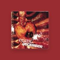 death in december