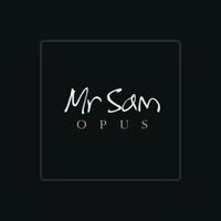 Mr Sam