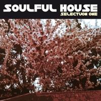 Special Love (Jazz-N-Groove Club Mix)