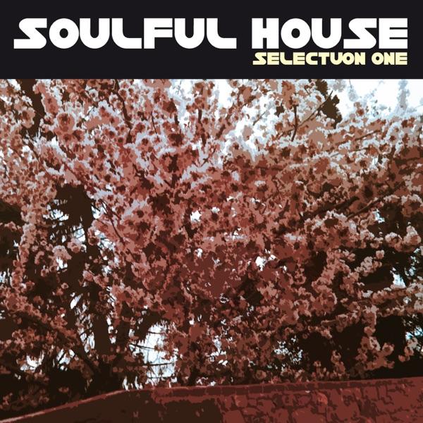 Special Love (Jazz-N-Groove Club Mix)
