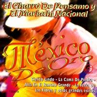 Por un Amor