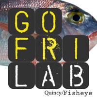 Fisheye (Dirty Remix)