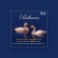 Drottningholm Chamber Orchestra