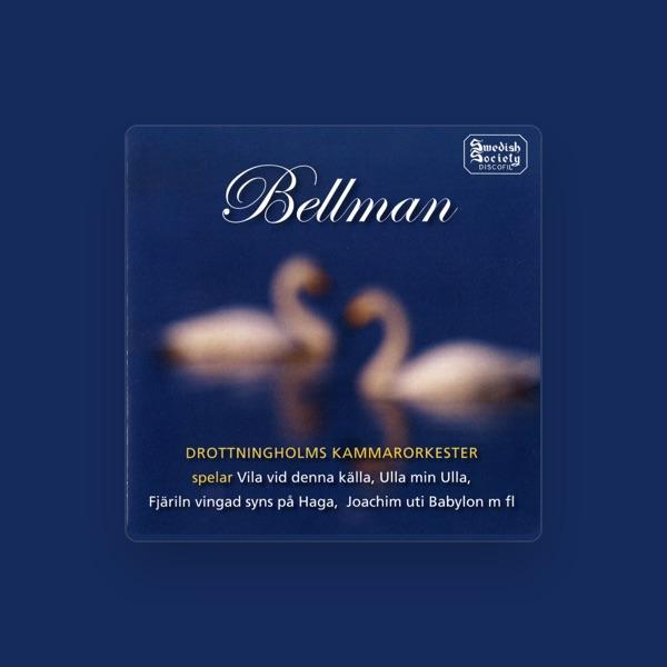 Drottningholm Chamber Orchestra