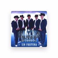 Imagen Musical