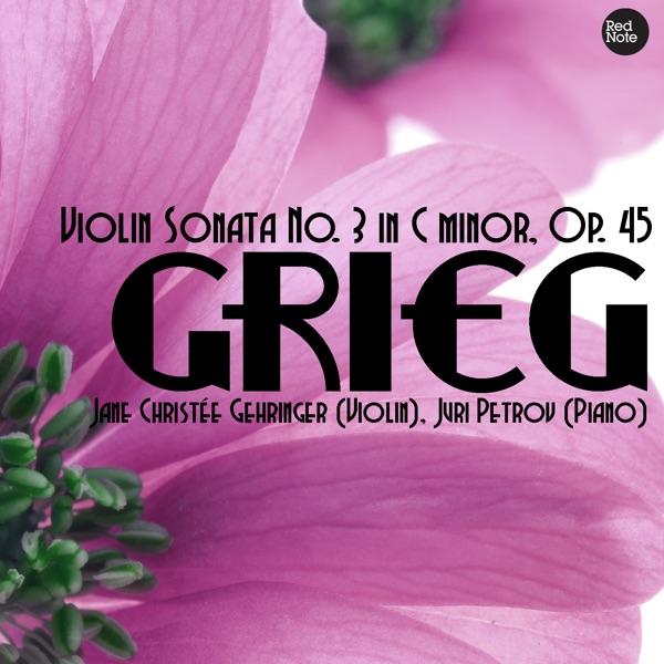 Violin Sonata No. 3 in C minor, Op. 45: I. Allegro molto ed appassionato