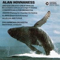 Concerto No. 8 for Orchestra: V. Andante