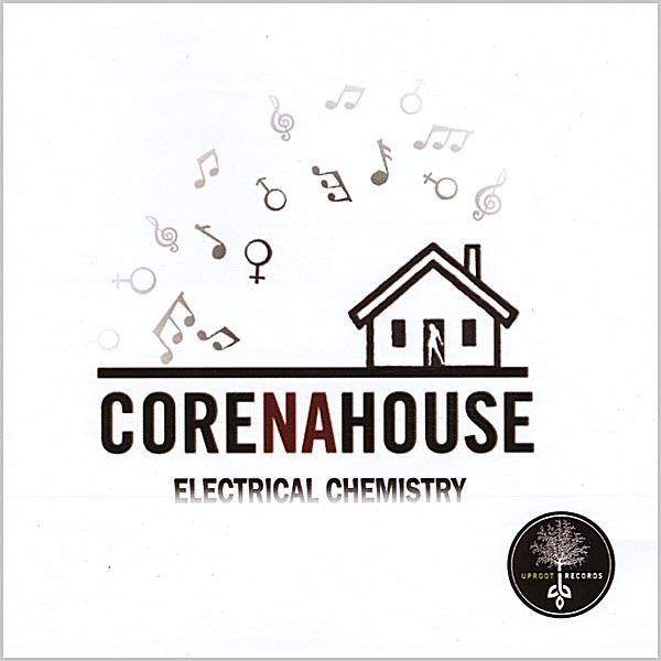 Electrical Chemistry