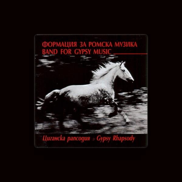 Band for Gypsy Music