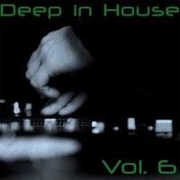 Birds Like It (Birdseye Instrumental Remix) [feat. Iain Mackenzie]