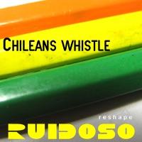 Chileans Whistle (Gabriele D'Andrea Tropical Mix)