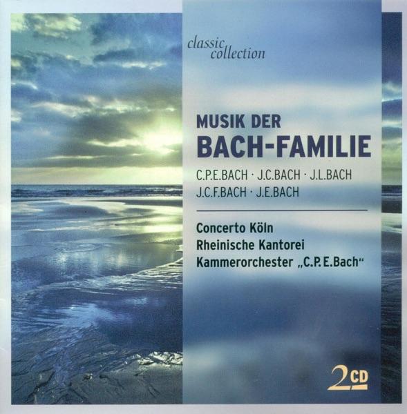 Flute Sonata In B Flat Major: I. Largo