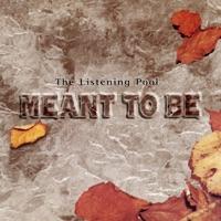 Meant to Be (Instrumental)
