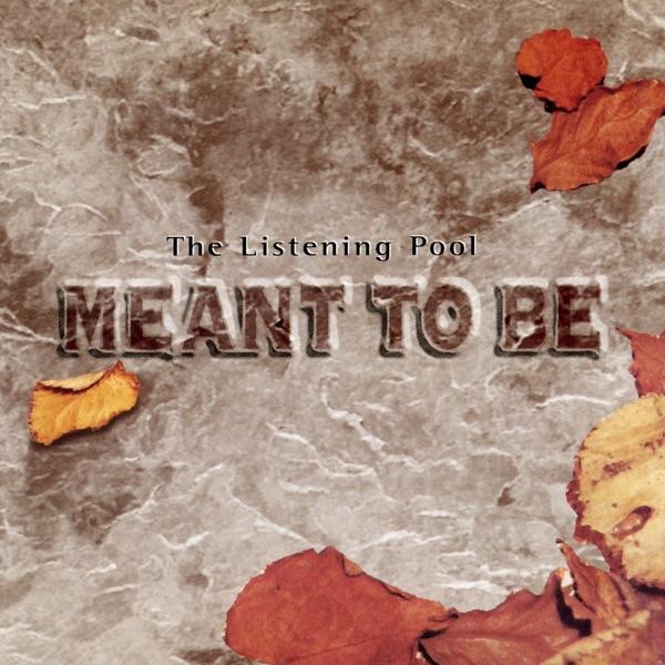 Meant to Be (Instrumental)