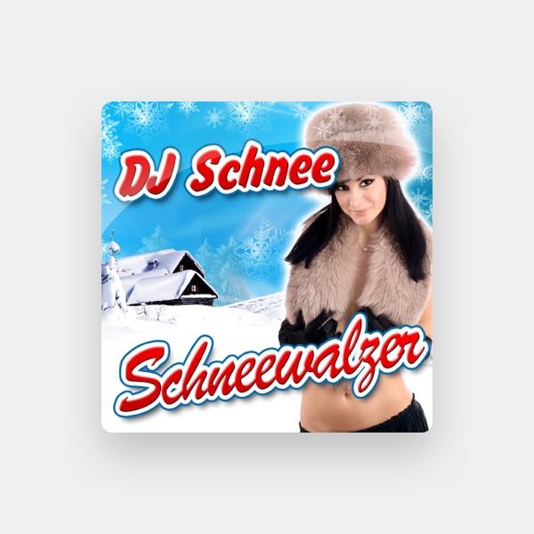 DJ Schnee